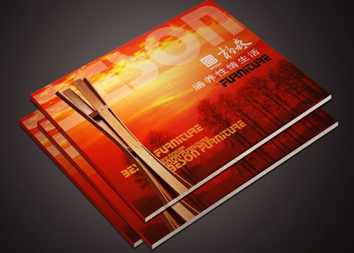 东莞网络科技画册印刷 技术开发与产品宣传的专业载体